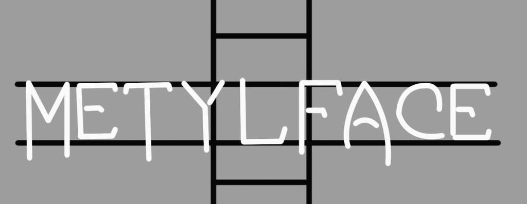 Custom Metylface Neon Sign