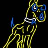 Albany Great Danes Neon Sign NCAA Teams Neon Light