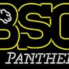 Birmingham Southern Panthers Neon Sign NCAA Teams Neon Light