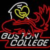 Boston College Eagles Neon Sign NCAA Teams Neon Light