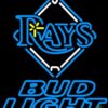 Bud Light Tampa Bay Rays Neon Sign Teams Neon Light