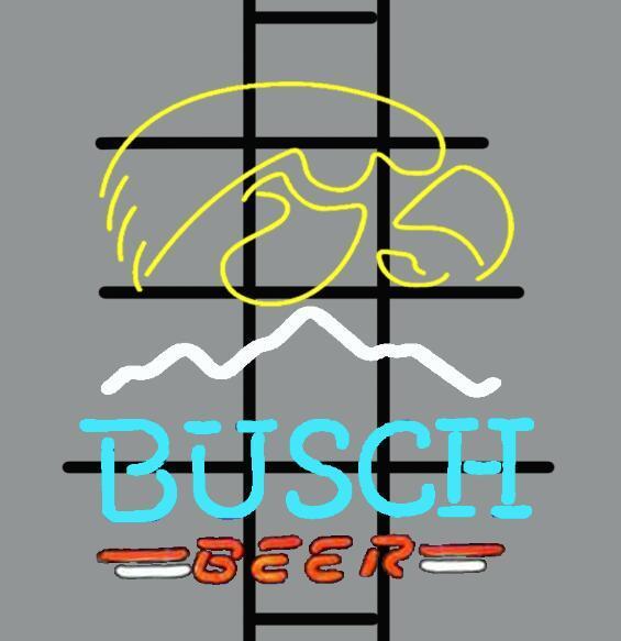 Busch Beer iowa hawkeyes Neon Sign NCAA Sports Neon Light