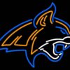 Montana State Bobcats Neon Sign NCAA Teams Neon Light