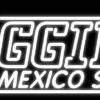New Mexico State Aggies Neon Sign NCAA Teams Neon Light