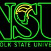 Norfolk State Spartans Neon Sign NCAA Teams Neon Light