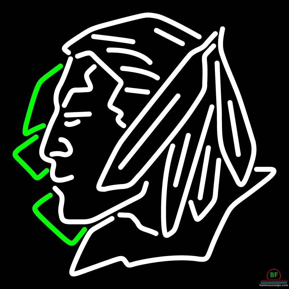 university of North Dakota Fighting Sioux Neon Sign NCAA Teams Neon Light