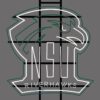 Northeastern State Riverhawks NCAA Sports Neon Sign Neon Light Neon Light
