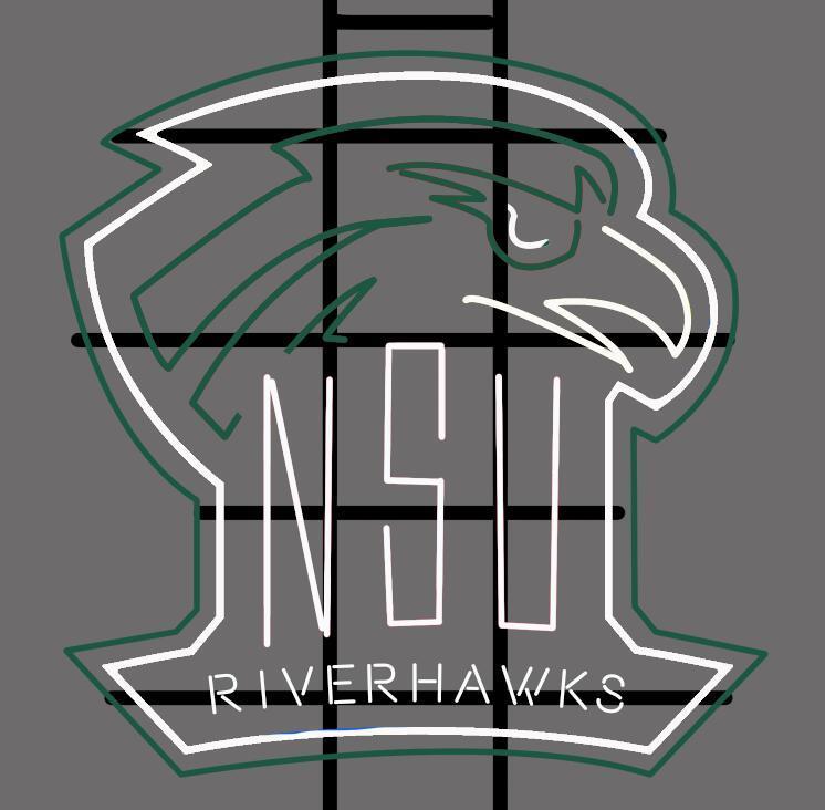 Northeastern State Riverhawks NCAA Sports Neon Sign Neon Light Neon Light