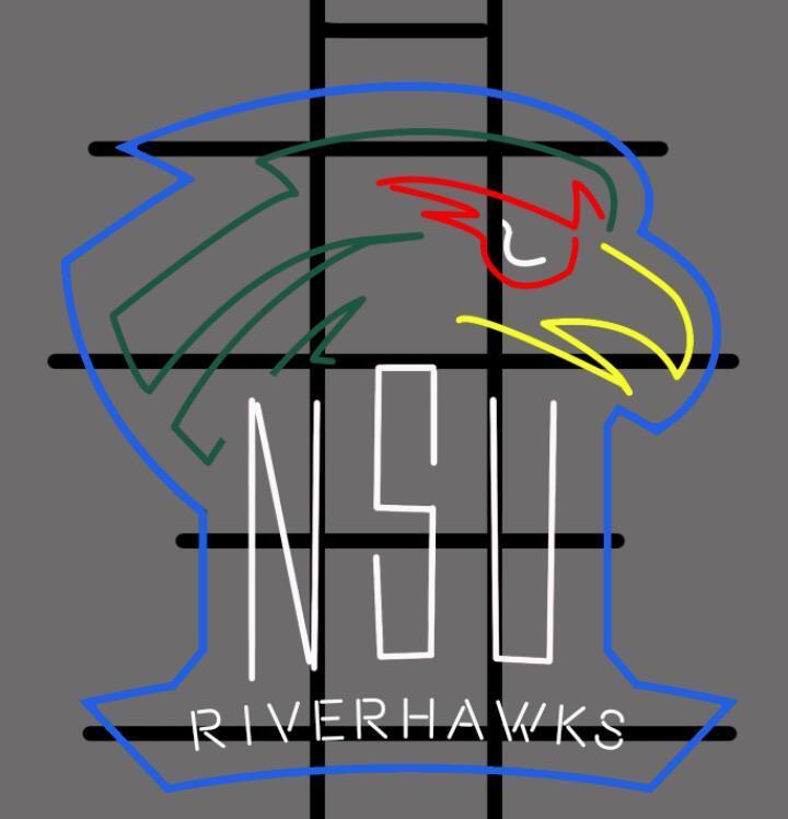 Northeastern State Riverhawks NCAA Sports Neon Sign Neon Light Neon Light