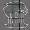 Northeastern State Riverhawks NCAA Sports Neon Sign Neon Light Neon Light