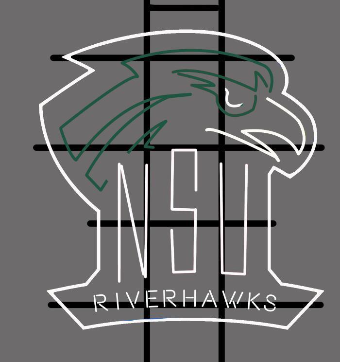 Northeastern State Riverhawks NCAA Sports Neon Sign Neon Light Neon Light