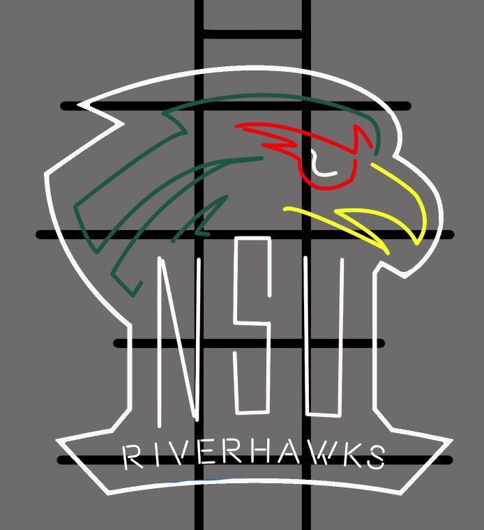 Northeastern State Riverhawks NCAA Sports Neon Sign Neon Light Neon Light