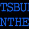 Princeton Tigers Neon Sign NCAA Teams Neon Light