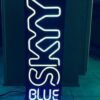 Skyy Vodka Neon Sign Neon Light