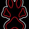 Southern Illinois Salukis Neon Sign NCAA Teams Neon Light