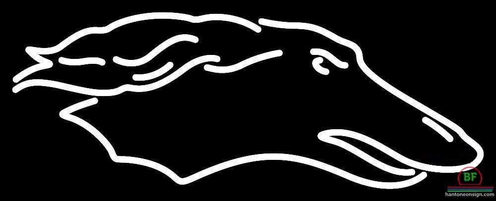 Southern Illinois Salukis Neon Sign NCAA Teams Neon Light