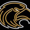 Southern Miss Golden Eagles Neon Sign NCAA Teams Neon Light