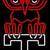 Temple Owls Neon Sign NCAA Teams Neon Light