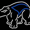 UC Irvine Anteaters Neon Sign NCAA Teams Neon Light