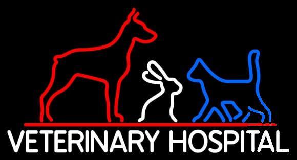 Veterinary Hospital Neon Sign Bar Sign Neon Light