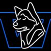 Washington Huskies Neon Sign NCAA Teams Neon Light
