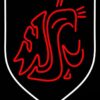 Washington State Cougars Neon Sign NCAA Teams Neon Light