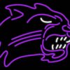 Western Carolina Catamounts Neon Sign NCAA Teams Neon Light