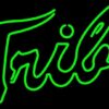 William And Mary Tribe Neon Sign NCAA Teams Neon Light