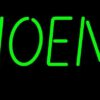 Wisconsin Green Bay Phoenix Neon Sign NCAA Teams Neon Light