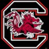 South Carolina Gamecocks Neon Sign NCAA Teams Neon Light