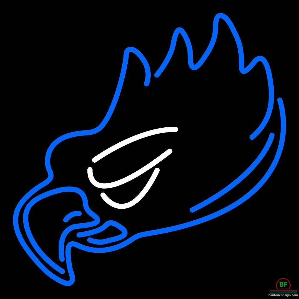 Florida Gulf Coast Eagles Neon Sign NCAA Teams Neon Light