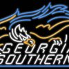 Georgia Southern Eagles Neon Sign NCAA Teams Neon Light