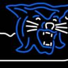 Kentucky Wildcats Neon Sign NCAA Teams Neon Light