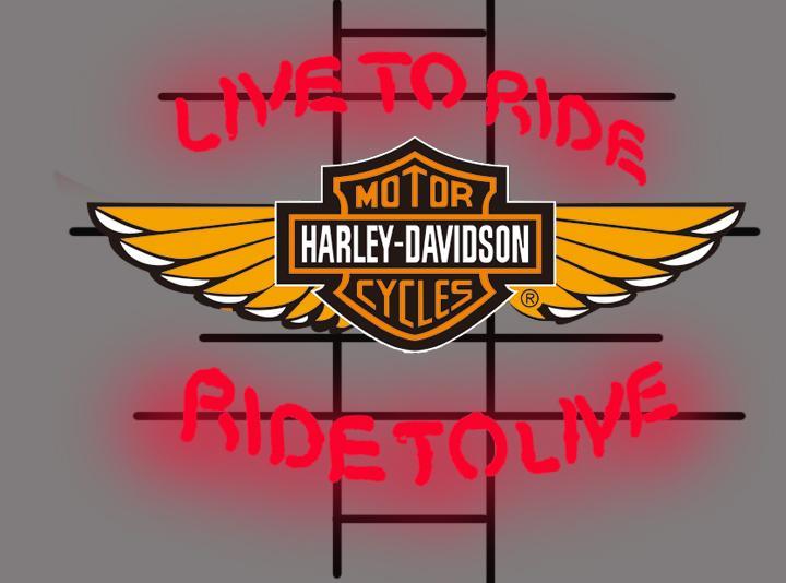 Harley Davidson Neon Sign Bar Sign Neon Light