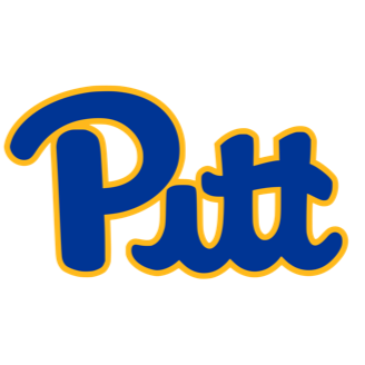 Custom Pittsburgh Neon Sign Neon Light