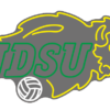 North Dakota State Bison Neon Sign NCAA Teams Neon Light