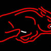 Custom Razorbacks Neon Sign